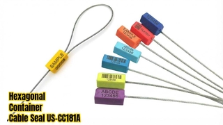 六角形の使い捨てケーブル シールの安全なパッケージ